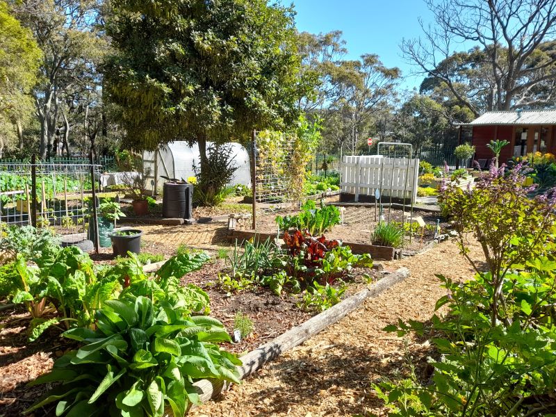 Habitat in Harmony Community Garden » Community Garden